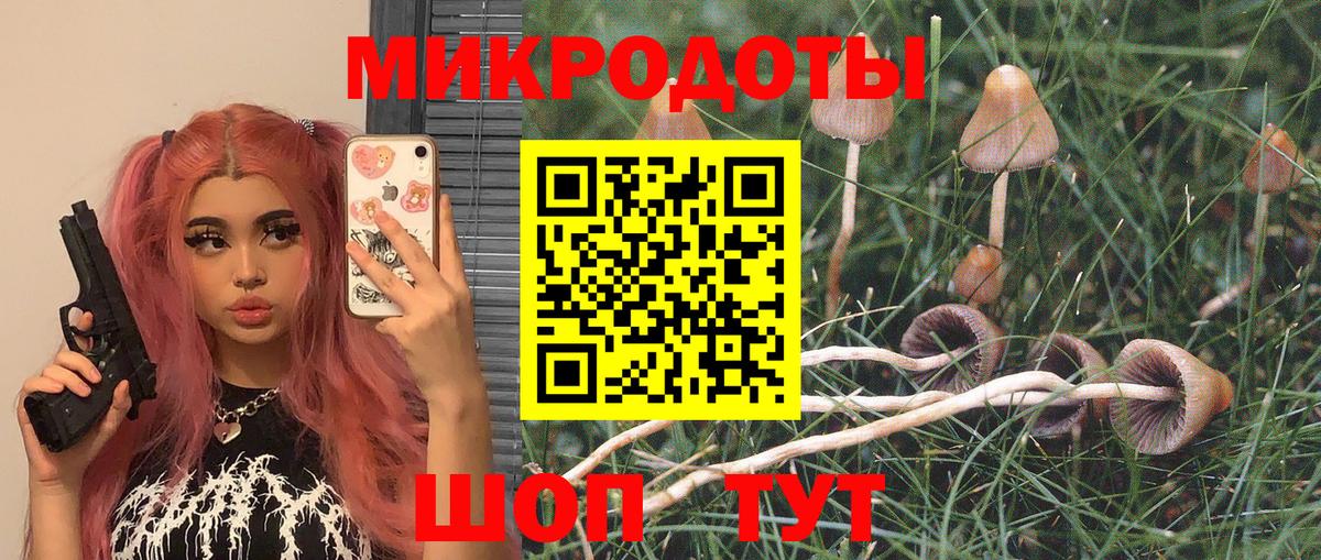 Псилоцибиновые грибы прущие грибы  Вход с VPN  Пушкино  наркота  Галлюциногенные грибы GOLDEN TEACHER 